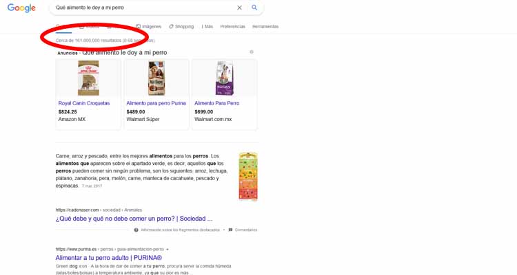 Print Screen de búsqueda en Google Qué le doy de Comer a mi Perro